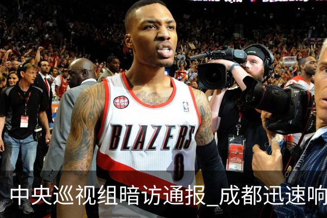 中央巡视组暗访通报 成都迅速响应立案拟顶格处罚