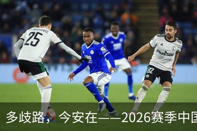 多歧路，今安在——2026赛季中国女排表现观感之四